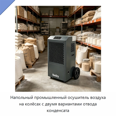 Напольный промышленный осушитель воздуха на колёсах с двумя вариантами отвода конденсата