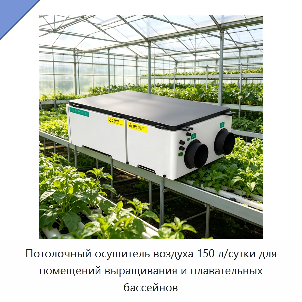 Потолочный осушитель воздуха 150 л/сутки для помещений выращивания и плавательных бассейнов
