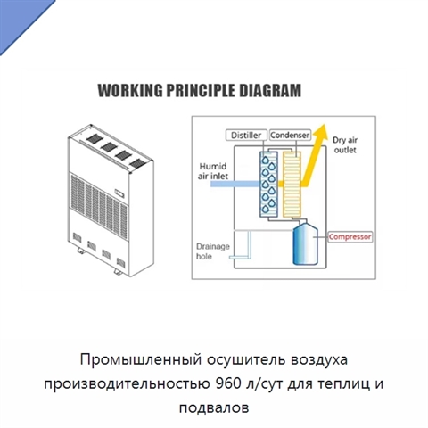 Промышленный осушитель воздуха производительностью 960 л/сут для теплиц и подвалов