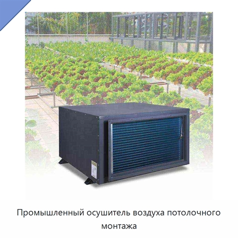 Промышленный осушитель воздуха потолочного монтажа
