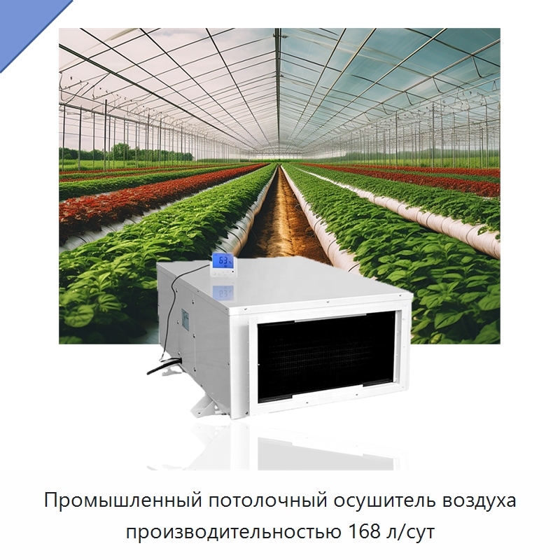 Промышленный потолочный осушитель воздуха производительностью 168 л/сут