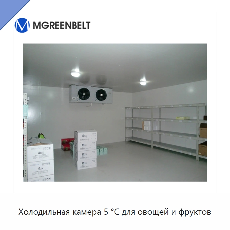 Холодильная камера 5 °C для овощей и фруктов