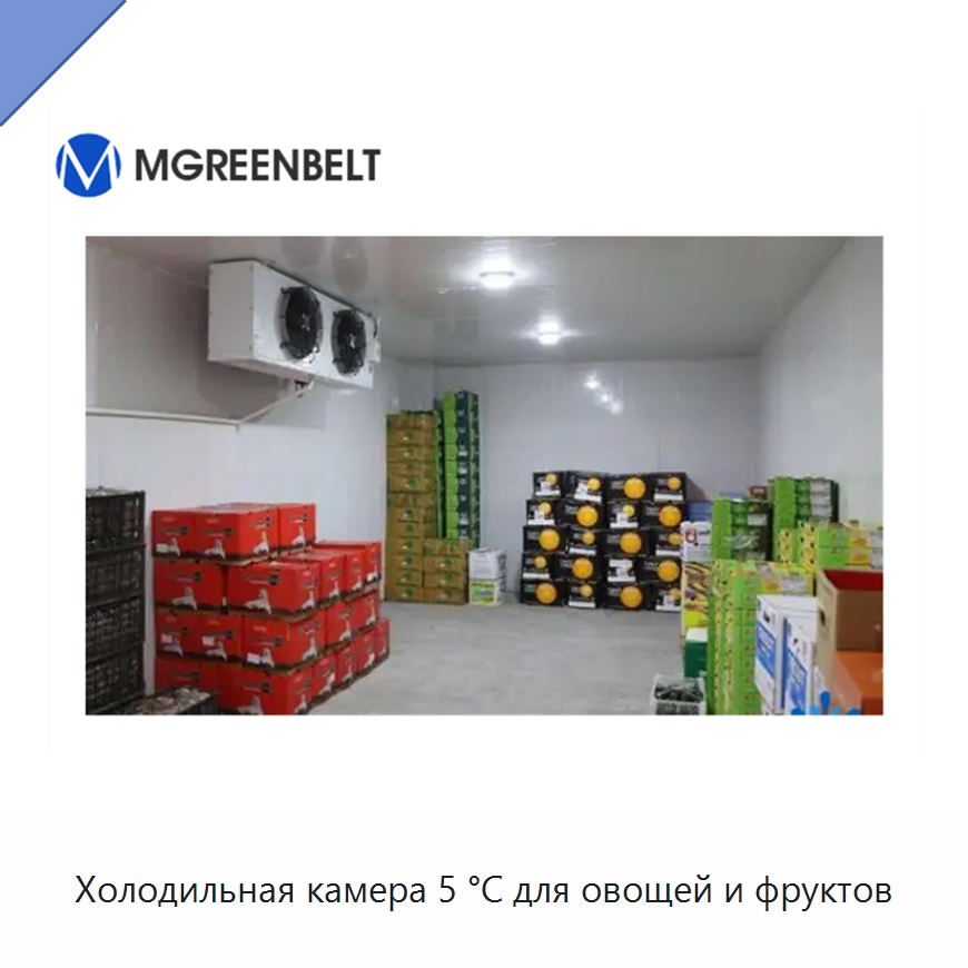Холодильная камера 5 °C для овощей и фруктов