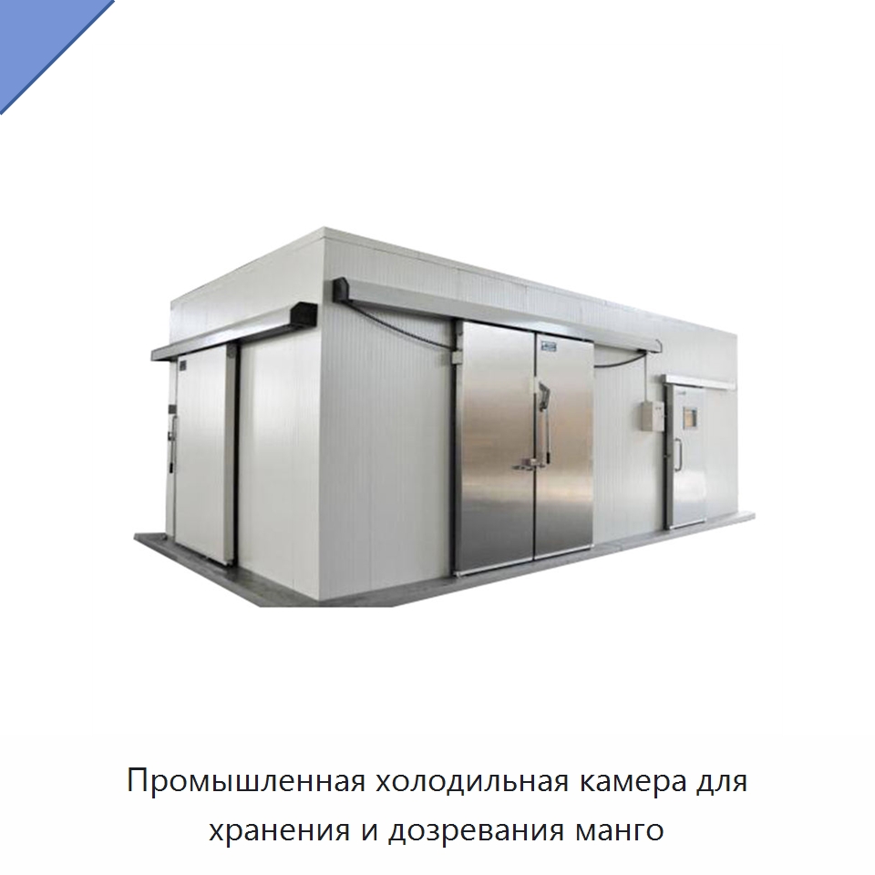 Промышленная холодильная камера для хранения и дозревания манго