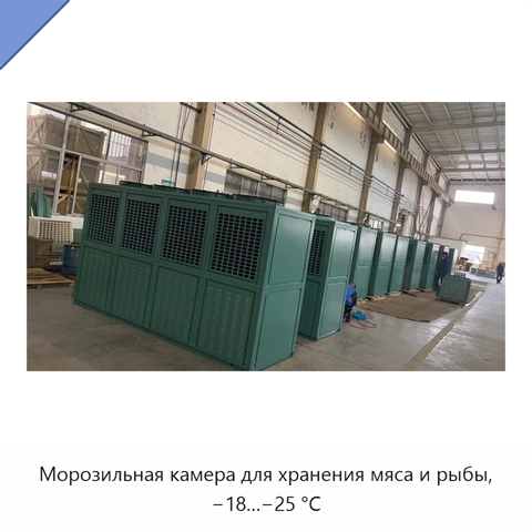 Морозильная камера для хранения мяса и рыбы, −18…−25 °C