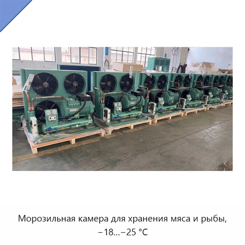 Морозильная камера для хранения мяса и рыбы, −18…−25 °C