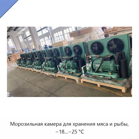 Морозильная камера для хранения мяса и рыбы, −18…−25 °C