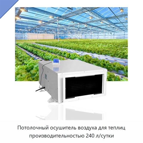 Потолочный осушитель воздуха для теплиц производительностью 240 л/сутки