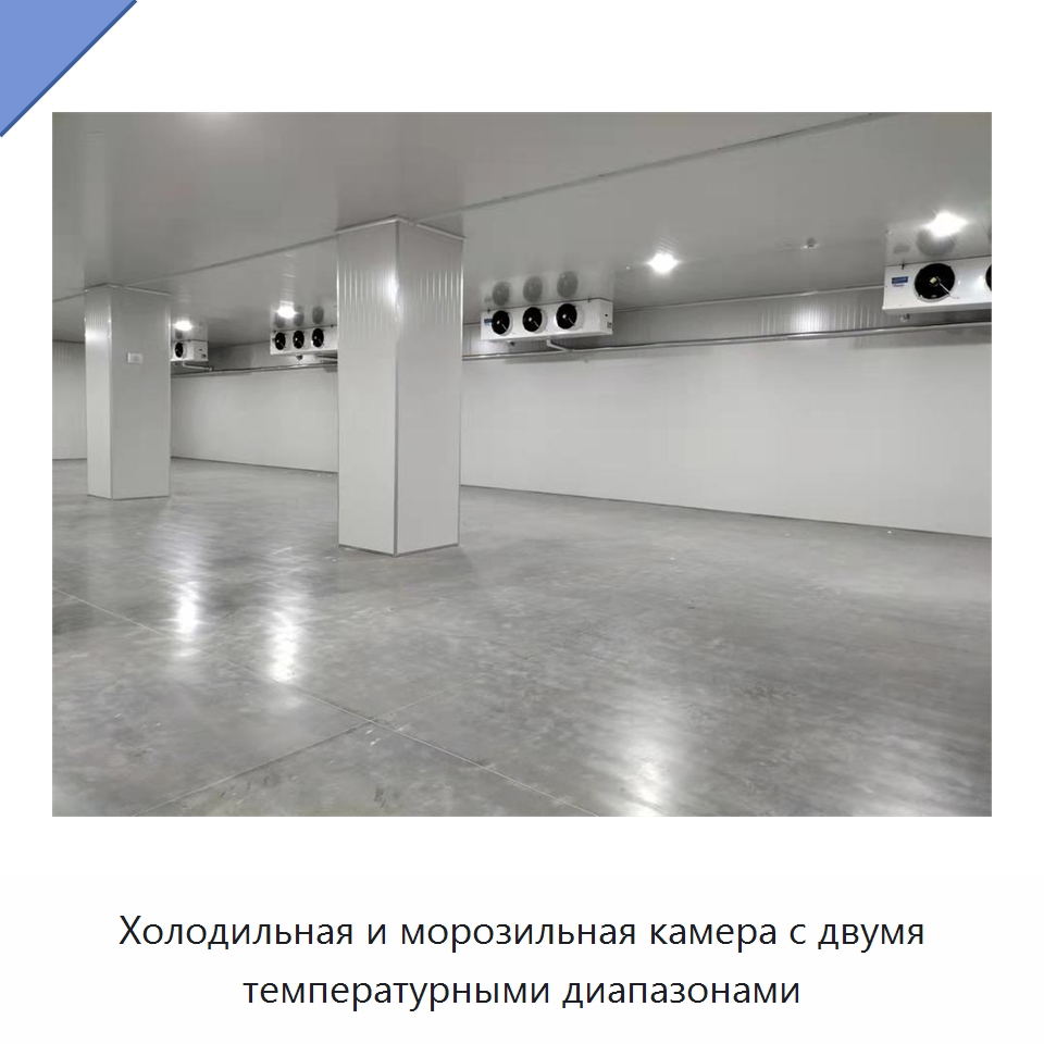 Холодильная и морозильная камера с двумя температурными диапазонами
