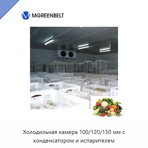 Холодильная камера 100/120/150 мм с конденсатором и испарителем