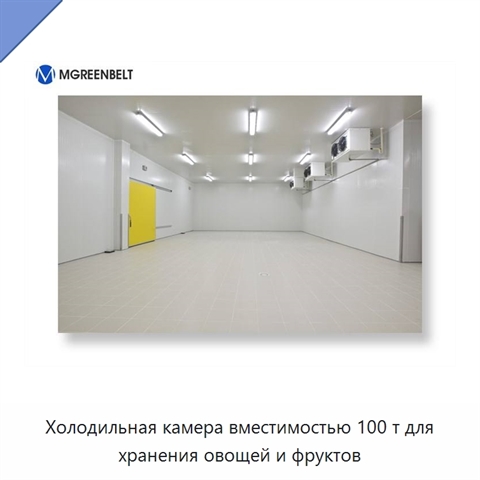 Холодильная камера вместимостью 100 т для хранения овощей и фруктов