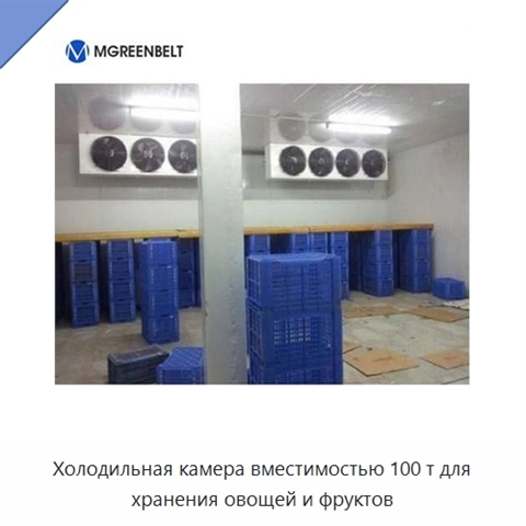 Холодильная камера вместимостью 100 т для хранения овощей и фруктов