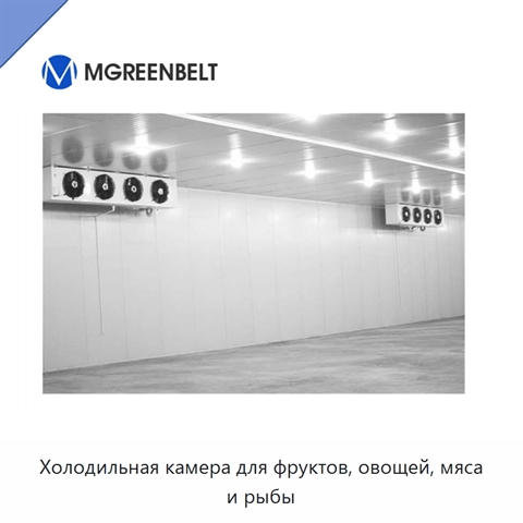 Холодильная камера для фруктов, овощей, мяса и рыбы