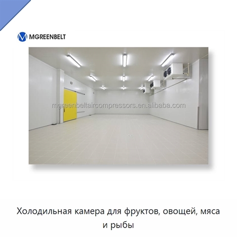 Холодильная камера для фруктов, овощей, мяса и рыбы