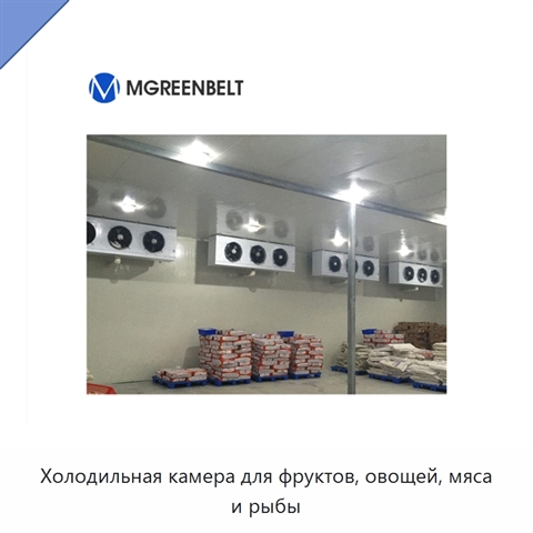 Холодильная камера для фруктов, овощей, мяса и рыбы