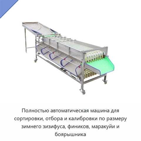 Полностью автоматическая машина для сортировки, отбора и калибровки по размеру зимнего зизифуса, фиников, маракуйи и боярышника