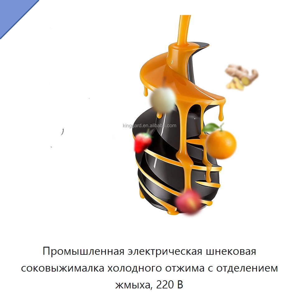 Промышленная электрическая шнековая соковыжималка холодного отжима с отделением жмыха, 220 В