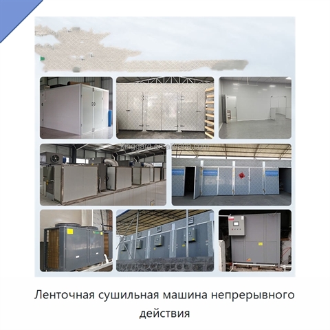 Ленточная сушильная машина непрерывного действия