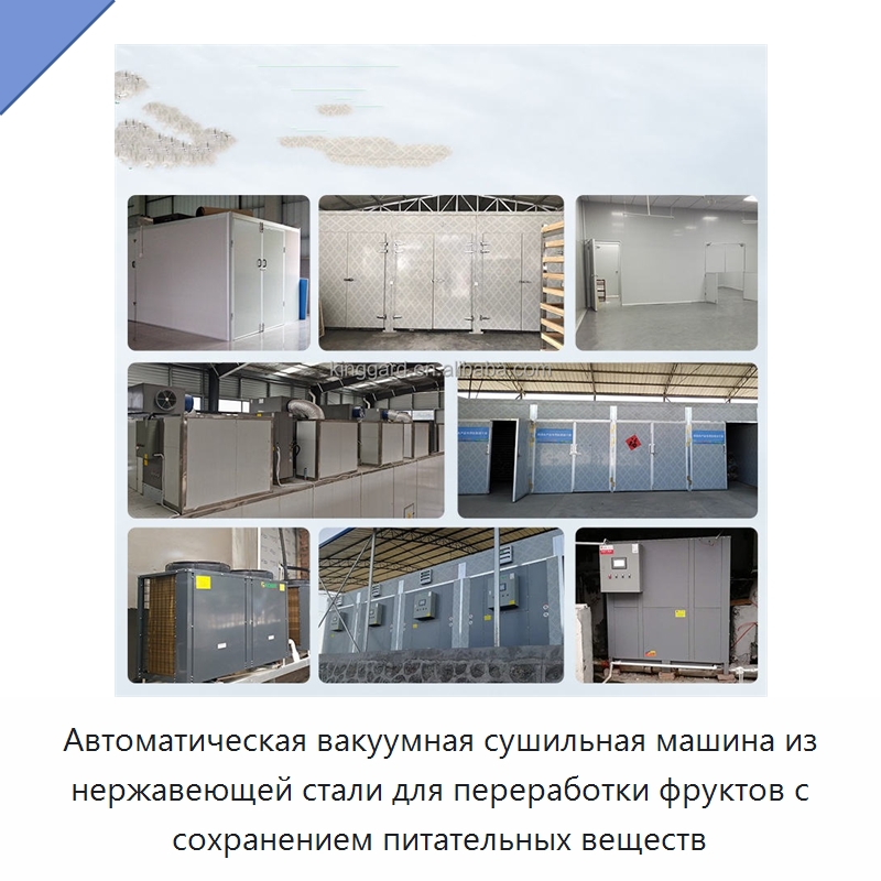 Автоматическая вакуумная сушильная машина из нержавеющей стали для переработки фруктов с сохранением питательных веществ