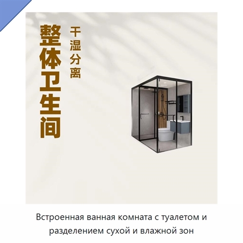 Встроенная ванная комната с туалетом и разделением сухой и влажной зон