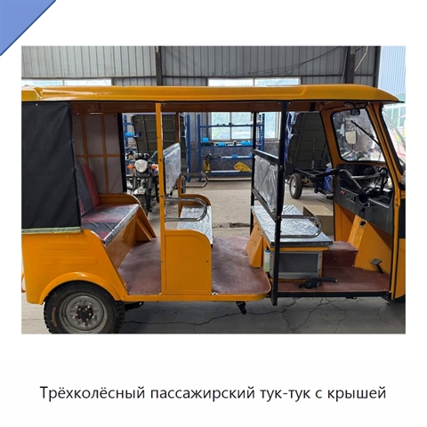 Трёхколёсный пассажирский тук-тук с крышей