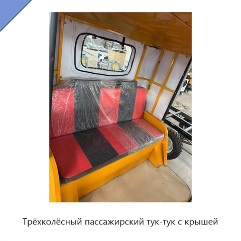 Трёхколёсный пассажирский тук-тук с крышей