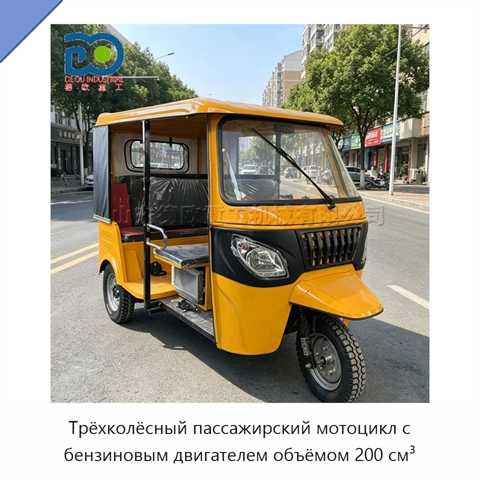 Трёхколёсный пассажирский мотоцикл с бензиновым двигателем объёмом 200 см³