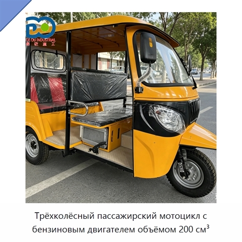 Трёхколёсный пассажирский мотоцикл с бензиновым двигателем объёмом 200 см³