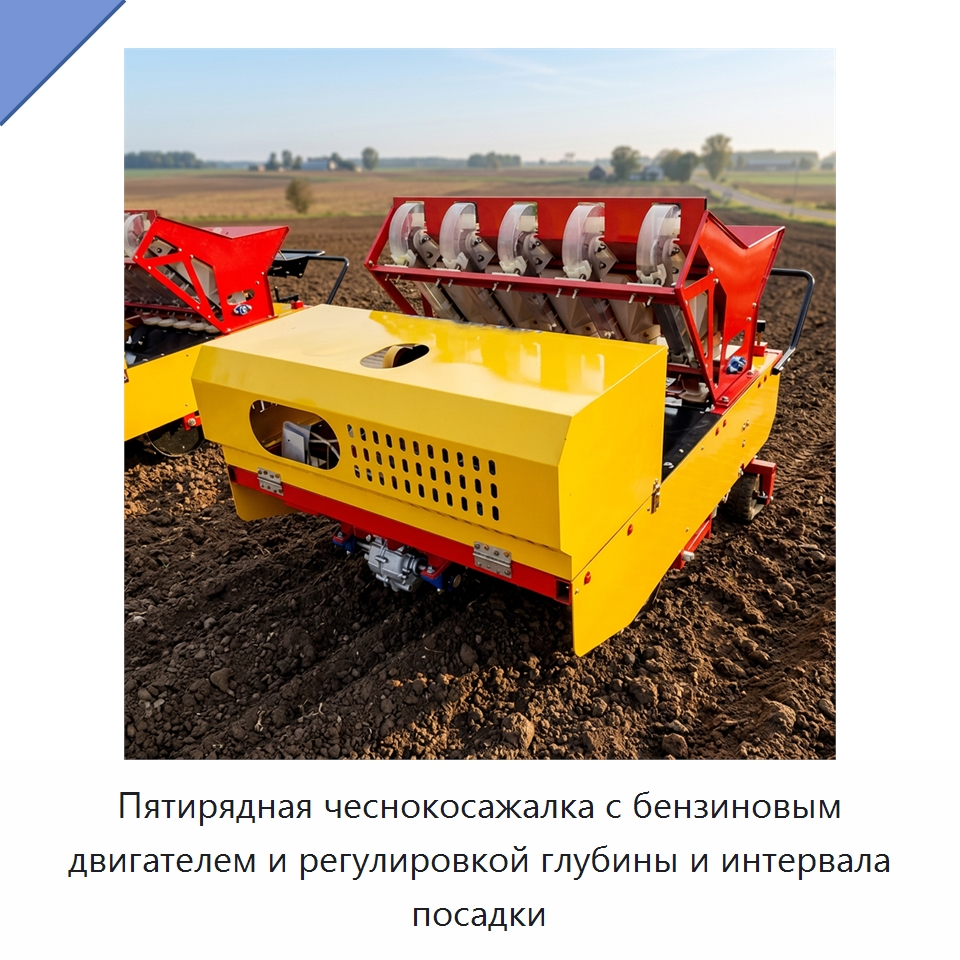 Пятирядная чеснокосажалка с бензиновым двигателем и регулировкой глубины и интервала посадки — Специальные сельскохозяйственные машины