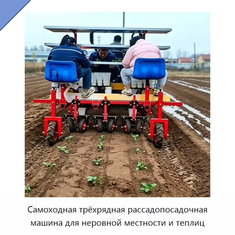 Самоходная трёхрядная рассадопосадочная машина для неровной местности и теплиц