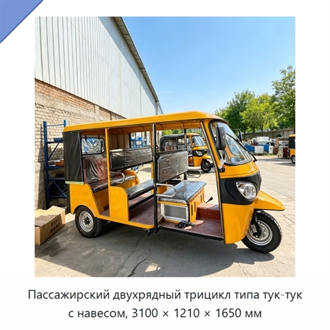 Пассажирский двухрядный трицикл типа тук-тук с навесом, 3100 × 1210 × 1650 мм