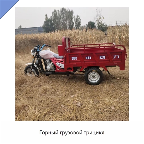 Горный грузовой трицикл