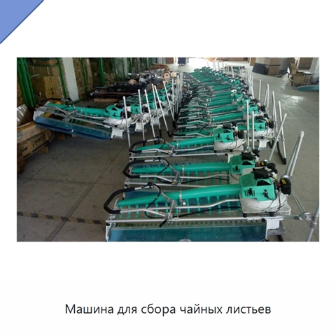 Машина для сбора чайных листьев
