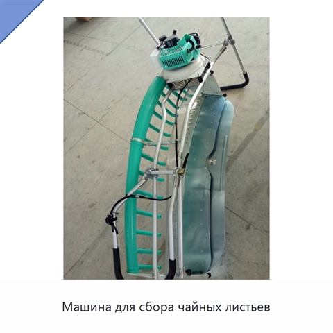 Машина для сбора чайных листьев