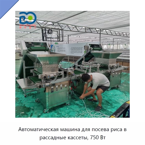 Автоматическая машина для посева риса в рассадные кассеты, 750 Вт