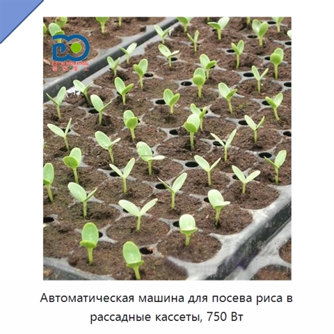 Автоматическая машина для посева риса в рассадные кассеты, 750 Вт