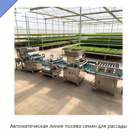 Автоматическая линия посева семян для рассады