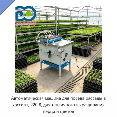 Автоматическая машина для посева рассады в кассеты, 220 В, для тепличного выращивания перца и цветов