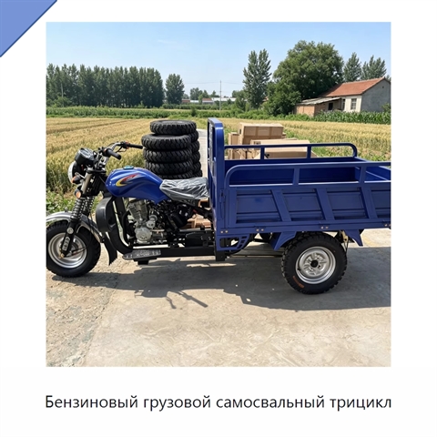 Бензиновый грузовой самосвальный трицикл