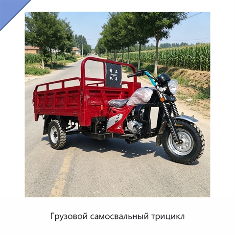 Грузовой самосвальный трицикл