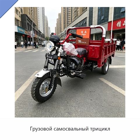 Грузовой самосвальный трицикл