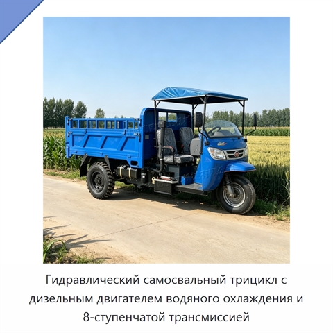 Гидравлический самосвальный трицикл с дизельным двигателем водяного охлаждения и 8-ступенчатой трансмиссией