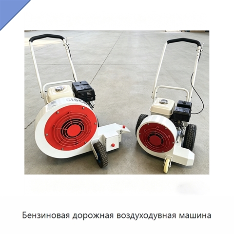 Бензиновая дорожная воздуходувная машина