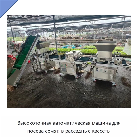 Высокоточная автоматическая машина для посева семян в рассадные кассеты