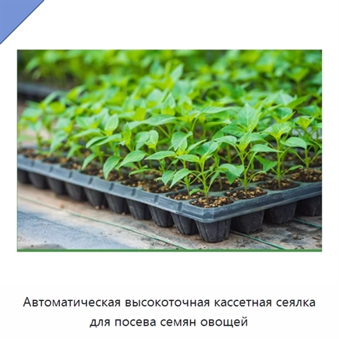 Автоматическая высокоточная кассетная сеялка для посева семян овощей