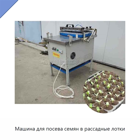 Машина для посева семян в рассадные лотки