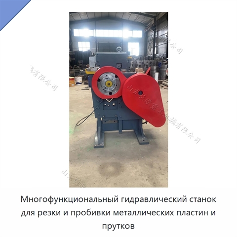 Многофункциональный гидравлический станок для резки и пробивки металлических пластин и прутков