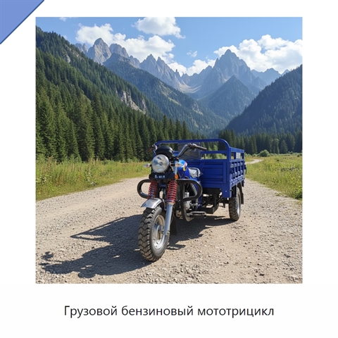 Грузовой бензиновый мототрицикл