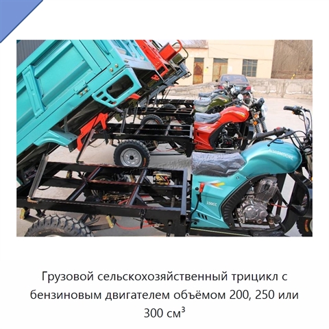 Грузовой сельскохозяйственный трицикл с бензиновым двигателем объёмом 200, 250 или 300 см³