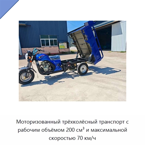 Моторизованный трёхколёсный транспорт с рабочим объёмом 200 см³ и максимальной скоростью 70 км/ч